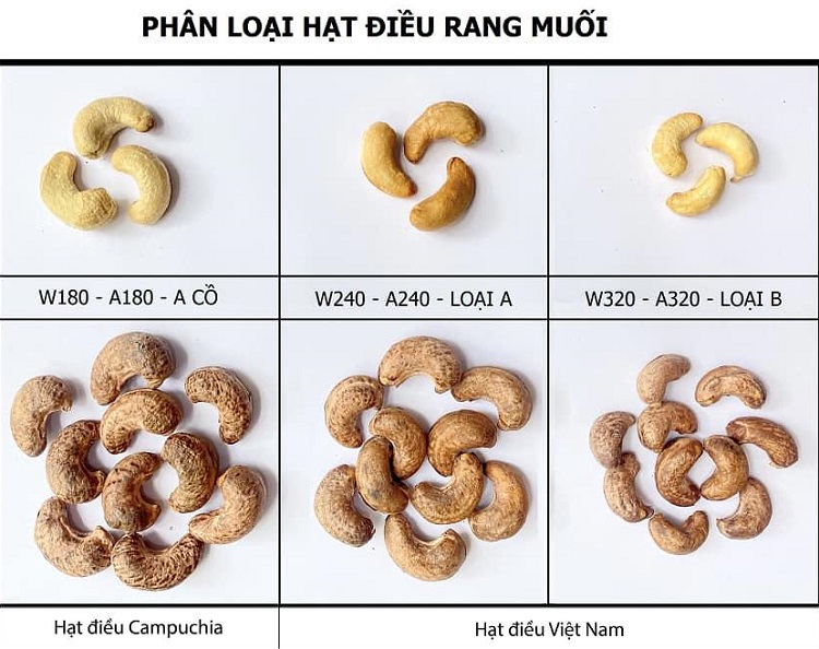 có bao nhiêu loại hạt điều