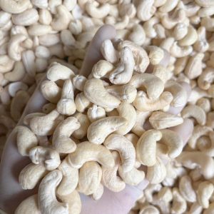 越南新鲜生腰果仁 WW180, 240, 320, 450